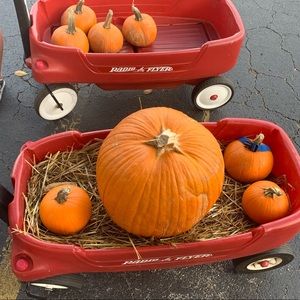 Meet your Posher, Bethany